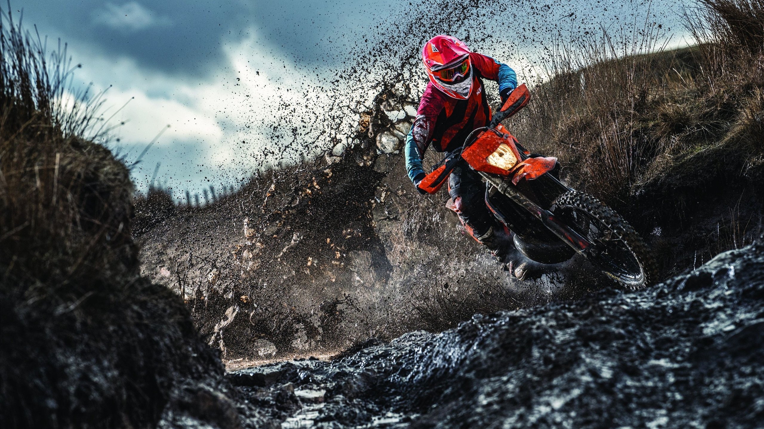 里奇·麦考：以无畏精神和卓越领导力书写全黑队传奇，里奇麦考橄榄球